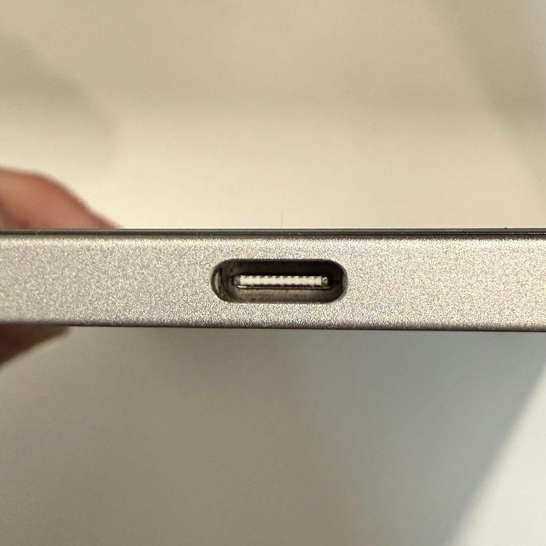 ほぼ未使用 Apple iPad PRO 本体 第3世代 シルバー